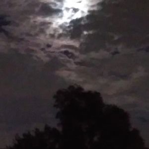 Meet your Posher, Judd